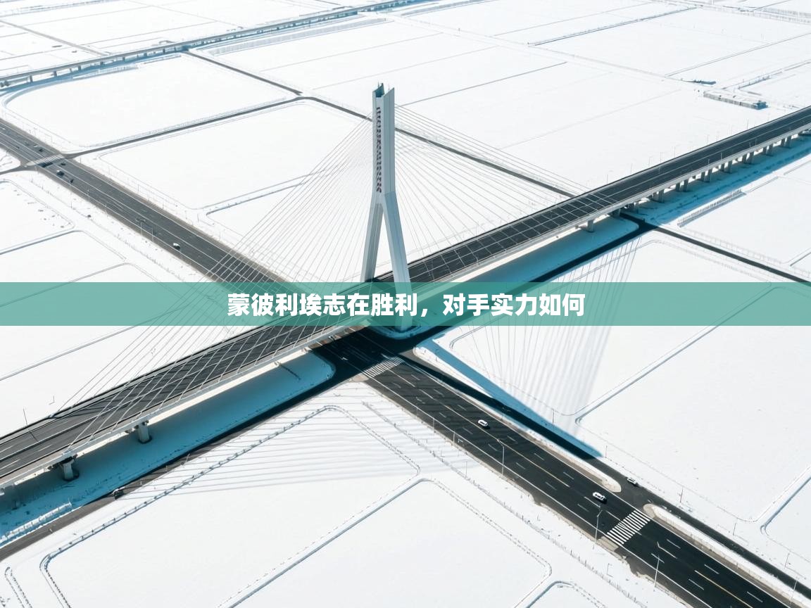 蒙彼利埃志在胜利，对手实力如何  第2张