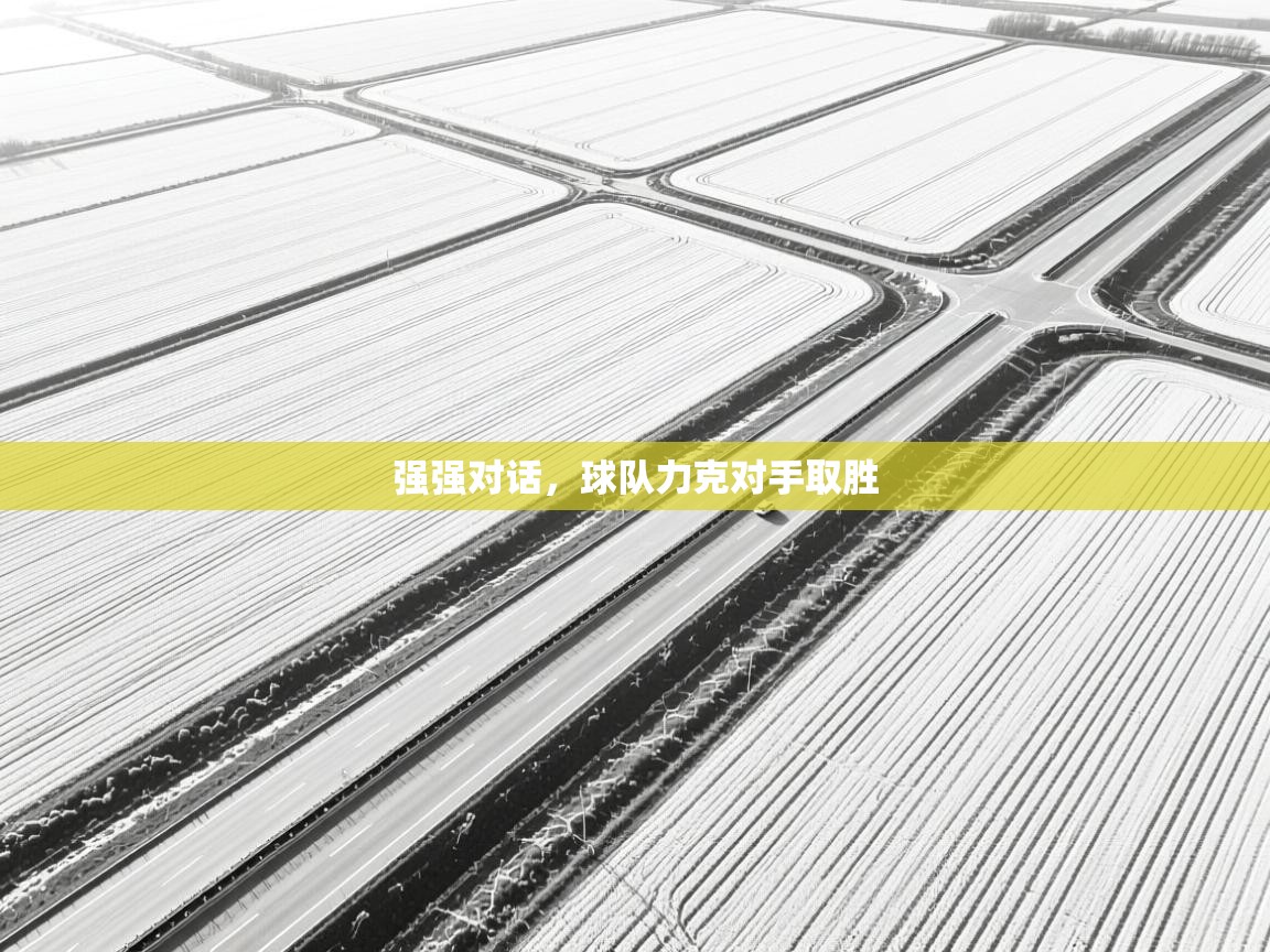 强强对话,球队力克对手取胜 第1张